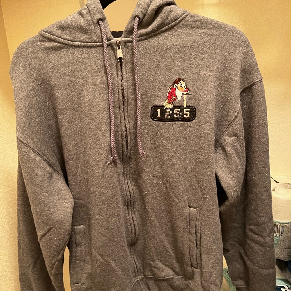 disneyland medium hoodie